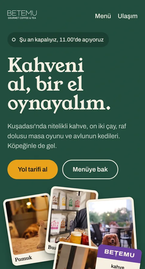 Betemu örnek sitesinin ilk ekranı